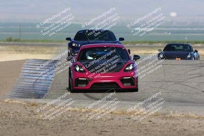 media/May-03-2024-PCA Central Coast (Fri) [[eaa7da0ee1]]/Yellow Group/Session 1 (Grapevine)/